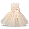 Bow Dress Princess Dress