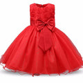 Bow Dress Princess Dress